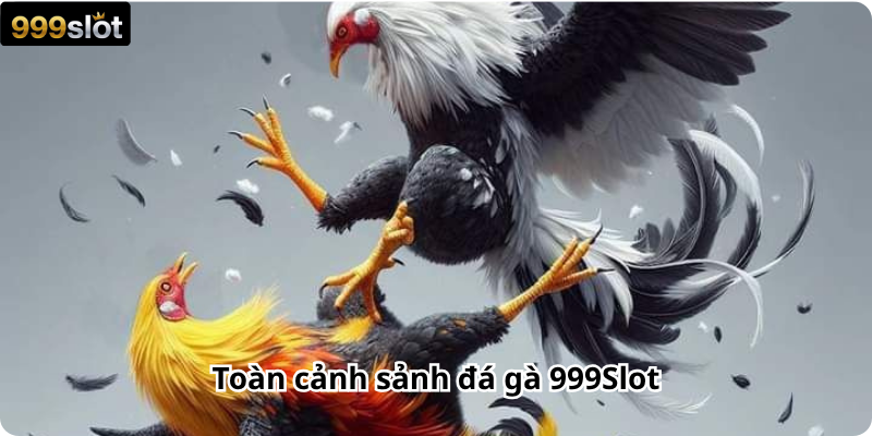Toàn cảnh sảnh đá gà 999Slot