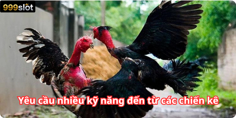 Yêu cầu nhiều kỹ năng đến từ các chiến kê