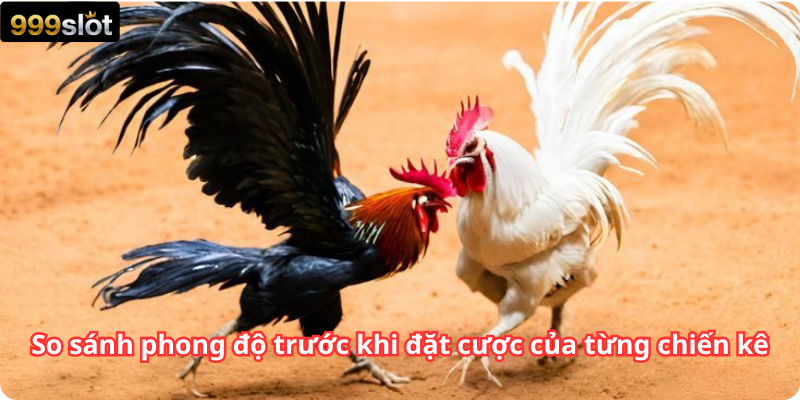 So sánh phong độ trước khi đặt cược của từng chiến kê