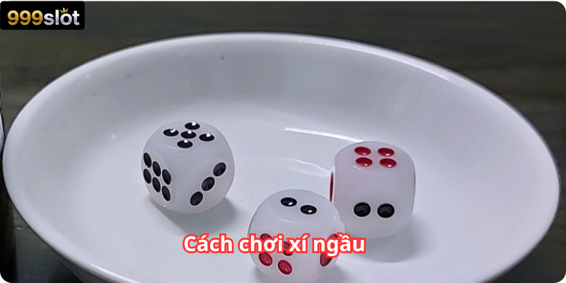 Cách chơi xí ngầu